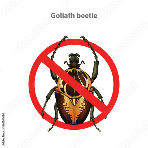 No Goliath beetle sign. A warning sign indicating the prohibition of a Goliath beetle.