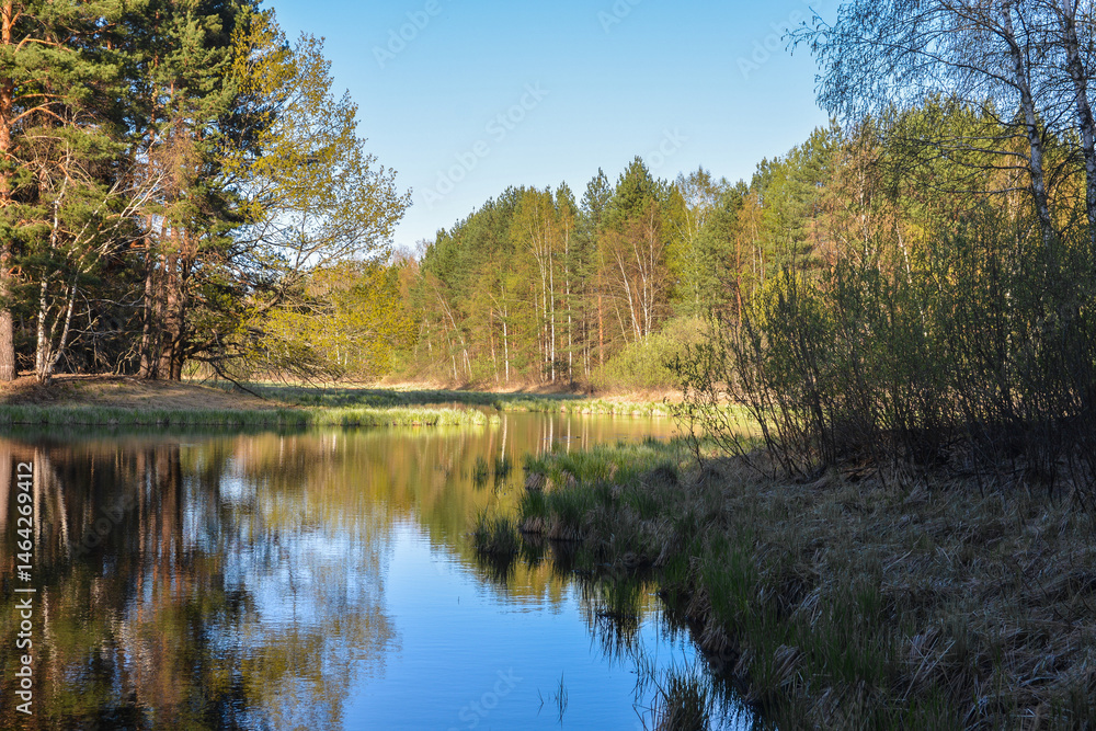 Fototapeta premium Forest lake in May.