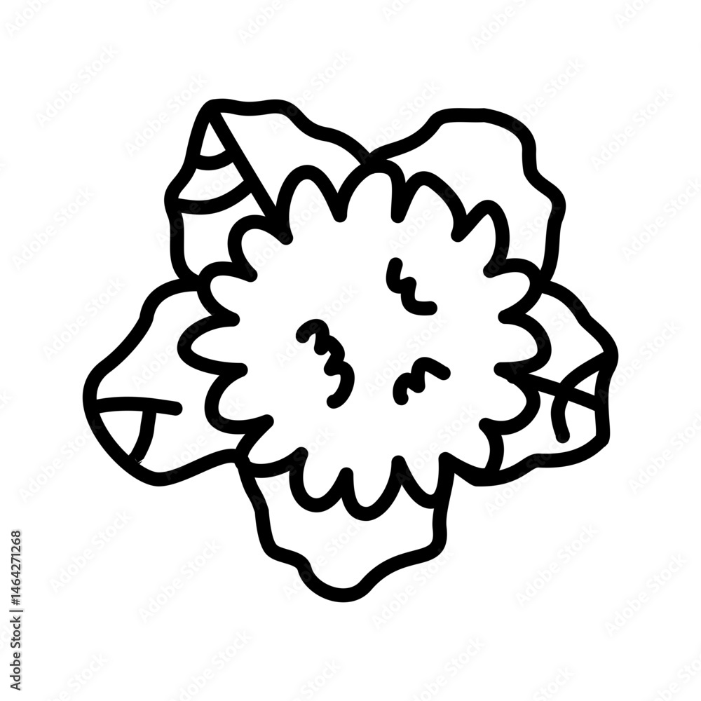 Fototapeta premium illustration of a cauliflower