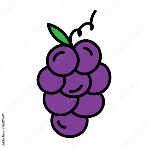 grape fruit vector illustrator 