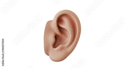 Canvastavla Isolated Human Ear