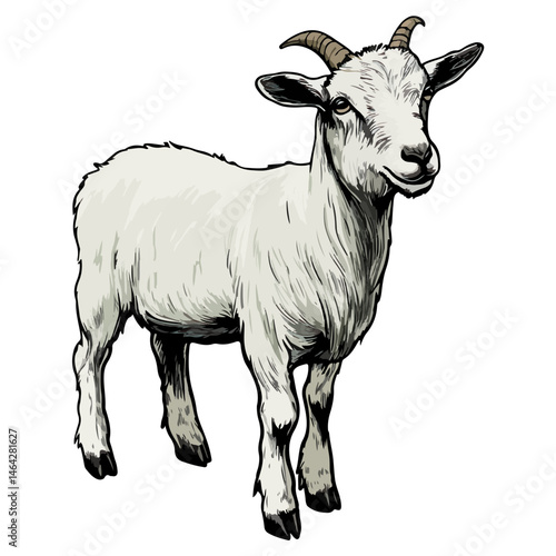goat, animal, vector, transparent background, farm, mammal, nature, white, livestock, cute, isolated, wildlife, horned, rural, sheep, grass, agriculture