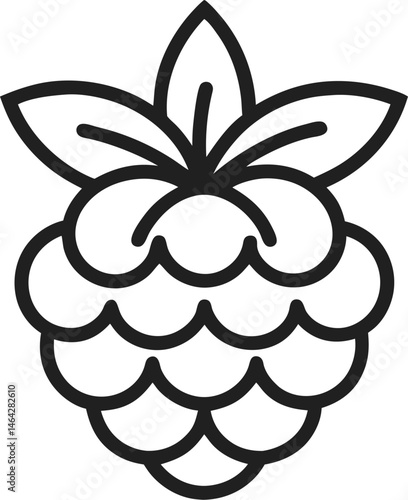 Dewberry icon line art vector on transparent background