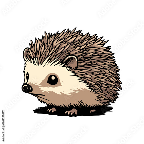hedgehog, animal, vector, transparent background, mammal, isolated, wildlife, rodent, bristle, nature, prickly, spiny, cute, small