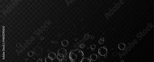 Soap bubble.Flying bubble.Vector.Background.
Soap bubbles background