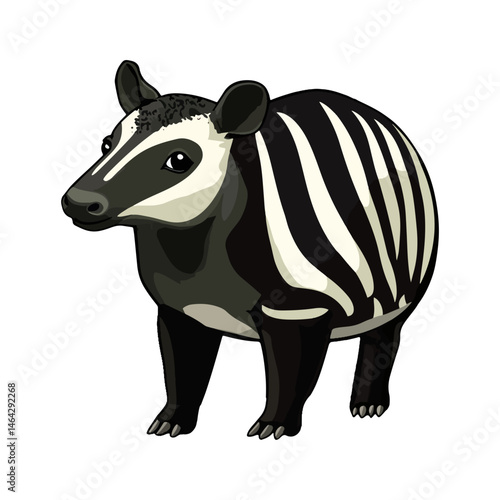 malayan tapir, animal, vector, transparent background, mammal, wildlife, zoo, large, big, nature, cute, isolated