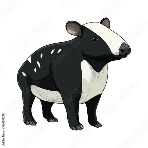 malayan tapir, animal, vector, transparent background, mammal, wildlife, zoo, large, big, nature, cute, isolated