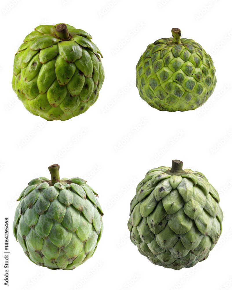 Fototapeta premium Cherimoya Fruit, Green Skin, Whole, Isolated