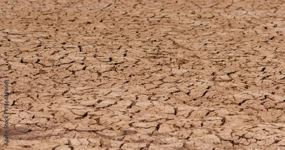 Wide shot of cracked ground on a hot afternoon in Kenya. Wide shot of cracked ground on a hot afternoon in Kenya.