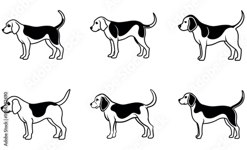 Cute Black and White Beagle Dog Illustrations