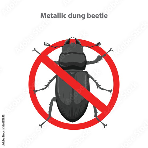 No Metallic dung beetle sign. A warning sign indicating the prohibition of a Metallic dung beetle.
