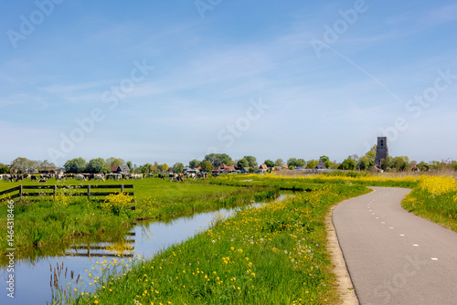Obraz na płótnie Rapeseed or Oilseed rape with yellow flowers, White mustard (Sinapis alba) Polder landscape in spring with Dutch cows, Open farm with dairy cattle, Small village Ransdorp, Noord Holland, Netherlands w salonie