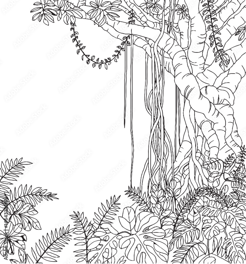 Monsoon Rainforest with Hanging Vines and Dense Understory – Black and White Line Art Illustration Monsoon Rainforest with Hanging Vines and Dense Understory – Black and White Line Art Illustration