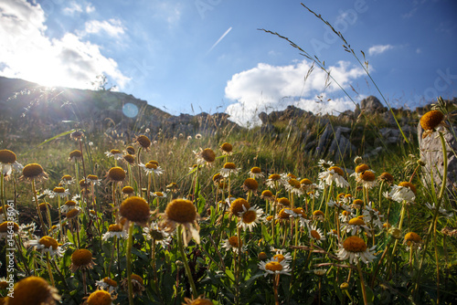 Majestic Mountain Views in Bosnia and Herzegovina: A Serene Landscape