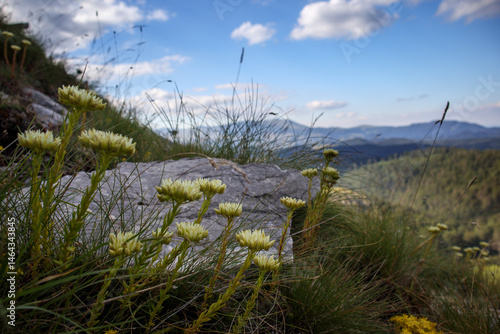Majestic Mountain Views in Bosnia and Herzegovina: A Serene Landscape