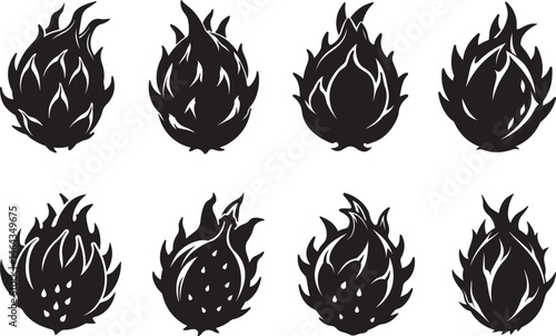 set of Dragon fruit silhouette, black and white silhouette, vector and illustration