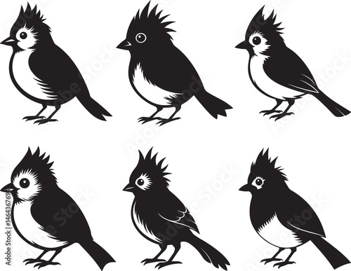 set of tufted titmouse bird silhouette, black and white silhouette, vector and illustration
