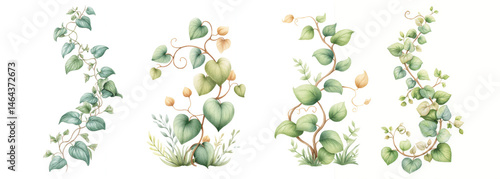Creative collection of botanical illustrations featuring green vines and leaves with detailed textures