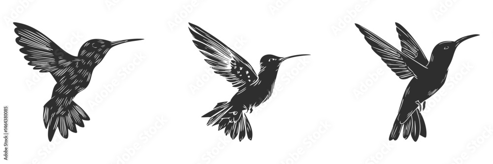 Fototapeta premium Hummingbird Silhouettes In Flight Set. Graceful Avian Motion And Elegance Isolated Vector Illustration Collection