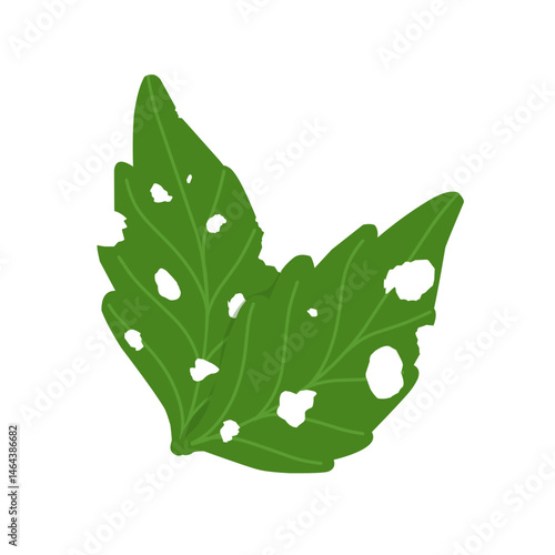 Illustration of green leaves with holes due to insect bites