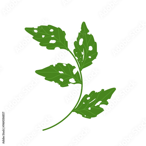 Illustration of green leaves with holes due to insect bites