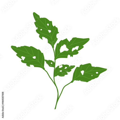 Illustration of green leaves with holes due to insect bites