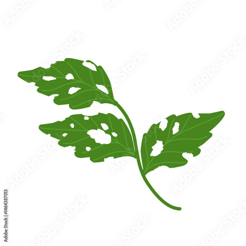 Illustration of green leaves with holes due to insect bites