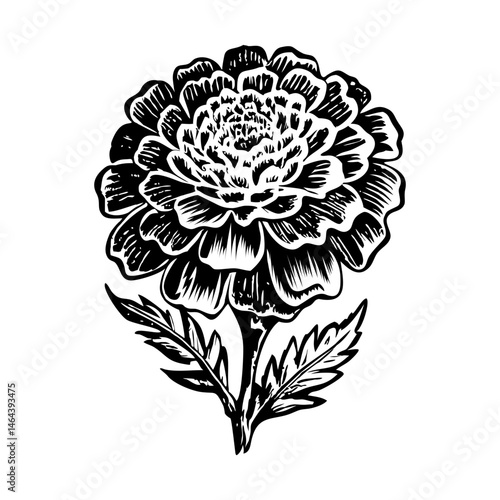 A vintage style illustration showing a holy flower