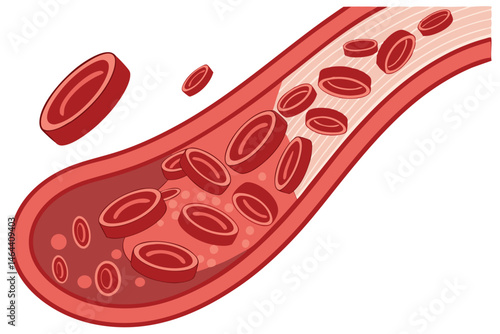 83 Medical illustration, red blood cells, microscopic view, cross-section, cellular structure, hemoglobin, circulatory system, 3D rendering, scientific visualization, anatomical detail, high magnifica