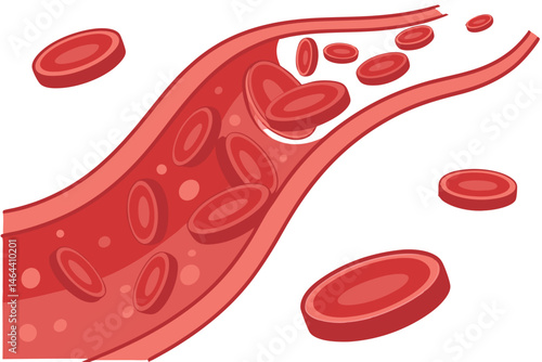 83 Medical illustration, red blood cells, microscopic view, cross-section, cellular structure, hemoglobin, circulatory system, 3D rendering, scientific visualization, anatomical detail, high magnifica