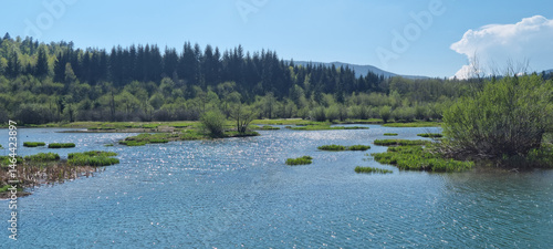 A picturesque view of Lake Bajer in Gorski Kotar showcases its clear blue waters dotted with green islets and surrounded by dense forests under a bright sky
