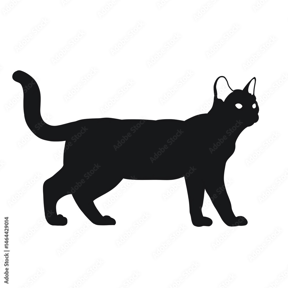 Obraz premium cat silhouette