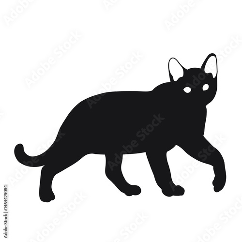 the cat silhouette