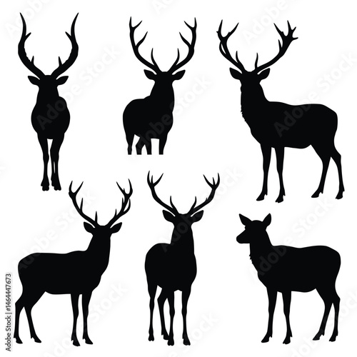 Deer silhouette vector collection on a white background. Beautiful male gazelle with big horns silhouette set design. Stag and reindeer standing, black and white silhouette vector bundle.