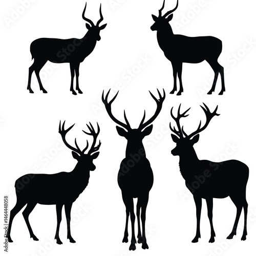 Deer silhouette vector collection on a white background. Beautiful male gazelle with big horns silhouette set design. Stag and reindeer standing, black and white silhouette vector bundle.