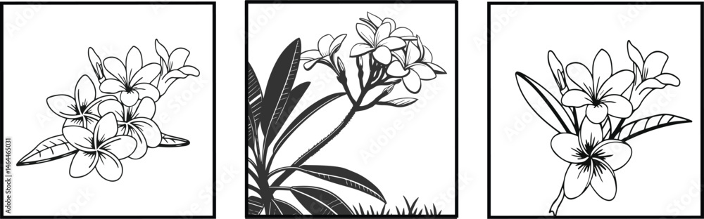 Obraz premium frangipani flower Elegant Monochrome Plumeria Blossom Elegant Plumeria Flowers champa flower silhouette vector