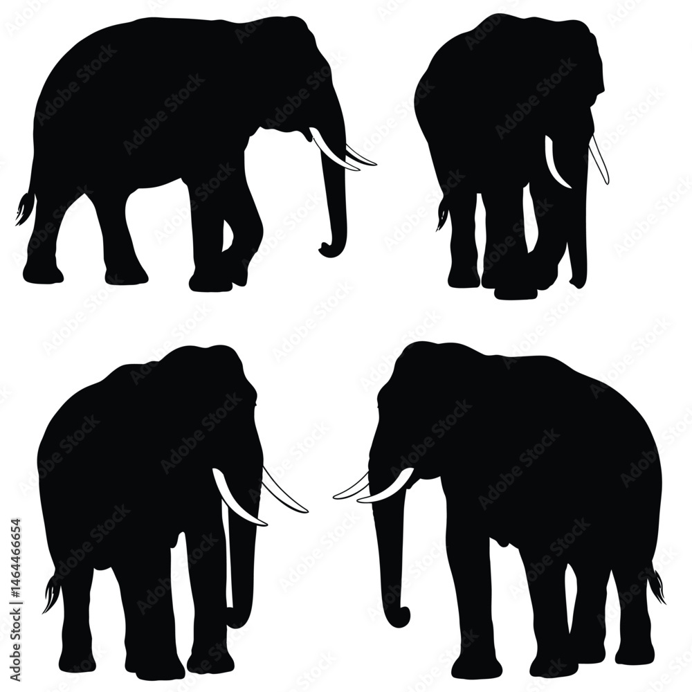 Fototapeta premium Big elephant walking silhouette collection on a white background. Huge elephant silhouette icon bundle. Wild animal silhouette set vector. Elephant with big tusks silhouette symbol vector.