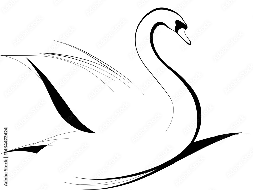 Elegant black and white illustration of a swan gliding gracefully across the water. Elegant black and white illustration of a swan gliding gracefully across the water.