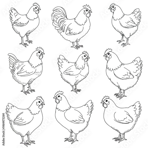 Set of cute rooster animals cartoon coloring page illustration vector. For kids coloring book.