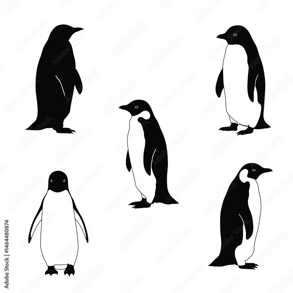Obraz premium cute penguin silhouette vector design illustration