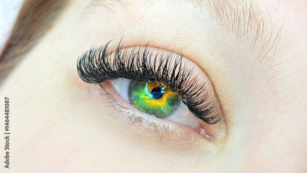 Obraz premium Close up of eye with eyelash extensions ,beauty salon treatment