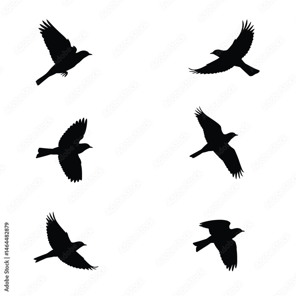 Obraz premium Swallows flying silhouette bundle design. Wild Swallows vector design on a white background. Beautiful bird flying silhouette set vector. small bird in different positions silhouette collection.