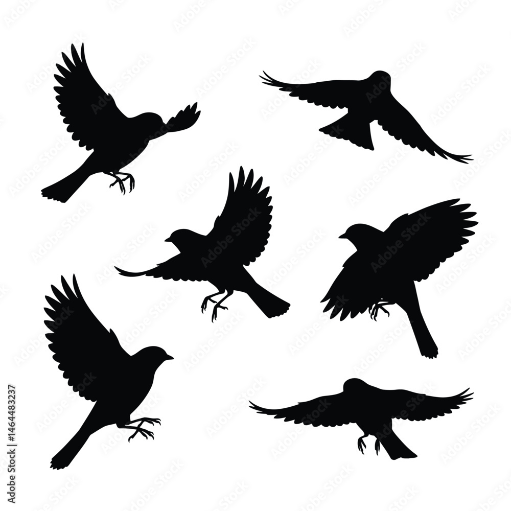 Obraz premium Swallows flying silhouette bundle design. Wild Swallows vector design on a white background. Beautiful bird flying silhouette set vector. small bird in different positions silhouette collection.