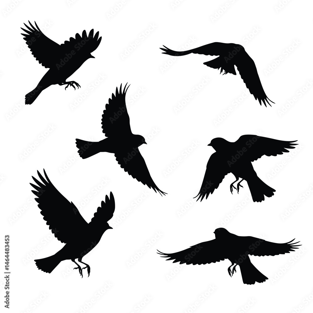 Fototapeta premium Swallows flying silhouette bundle design. Wild Swallows vector design on a white background. Beautiful bird flying silhouette set vector. small bird in different positions silhouette collection.