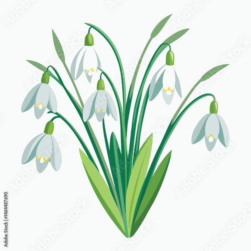 spring snowdrop flowers