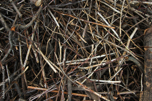 Texture, Background, firewood for barbecue