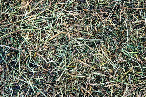 Texture.Background.The grass dries out.