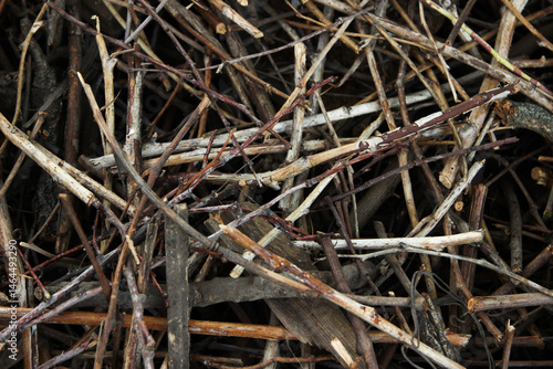 Texture, Background, firewood for barbecue