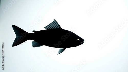 Obraz na płótnie Vector illustration of a black fish silhouette on white background 4K w salonie