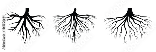 Root of tree. Black root silhouette. Plant root system. Realistic black roots illustration. A Monochrome Illustration of Nature's Strength and Growth. Vector illustration.